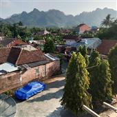 Sự 