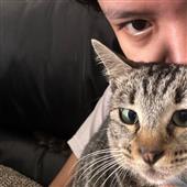 Cas