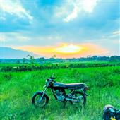 Kết 