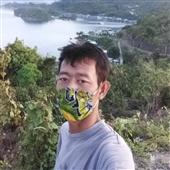 Giả