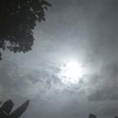 Trò