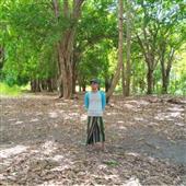 Săn 