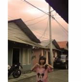 Gấu 