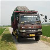 Cỏ 