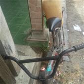 Tiên