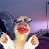 Vũ 