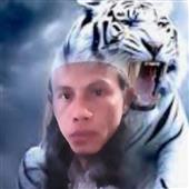 Năm