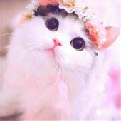 Tỷ 