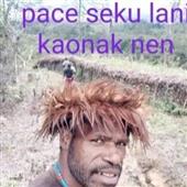 Bầu
