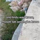 Bxh 