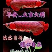 Soi 