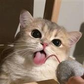 The