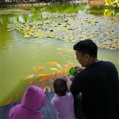 Kỳ 