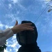 Dã 