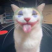 lch 