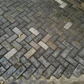 Giữ 