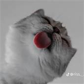 Công