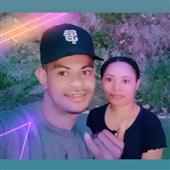 Dự 