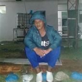 Geng