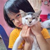 Bảng