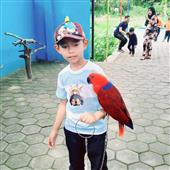 Giả