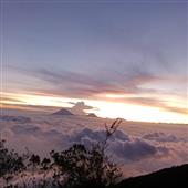 Ngũ 