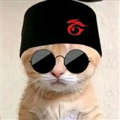 Nhà 