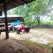 Kết 