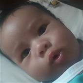 Luật