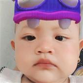 Trực