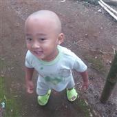 Rồng