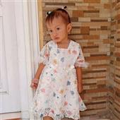 Lịc