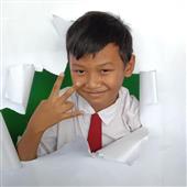 Husa