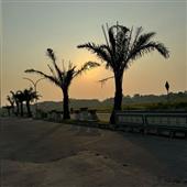 TRỨN