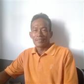 Giả
