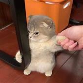 TRỨ