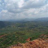 Bảng
