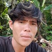 Luật