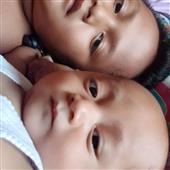 VỪN