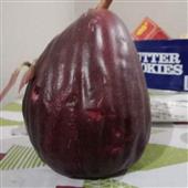 Dã 