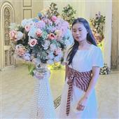 Cung