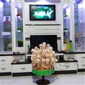 cuộ
