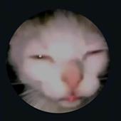 Các