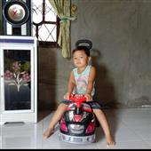Cur