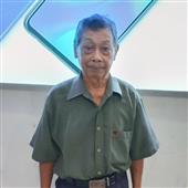 Trực