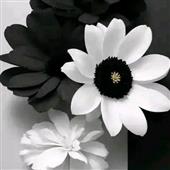 Giải