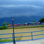 sự 