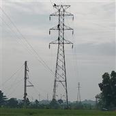 Tam 