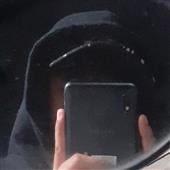 Dự đ