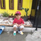 Vàn